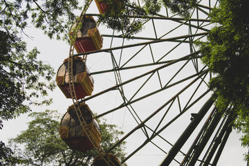 carousel in the park