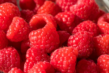 Raw Organic Red Raspberries