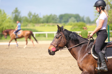 Training in the riding school, riders and horses