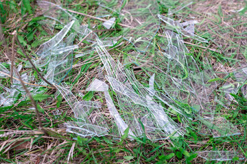large pieces of glass on green grass. robbery concept