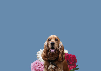 English Cocker Spaniel in flowers. Dog in spring colors art. Cocker Spaniel in colors