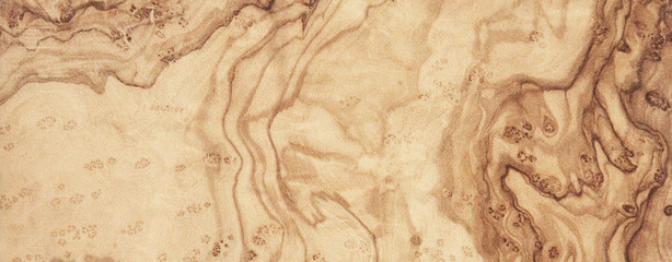 Natural olive wood with beautiful wood grain may used as background