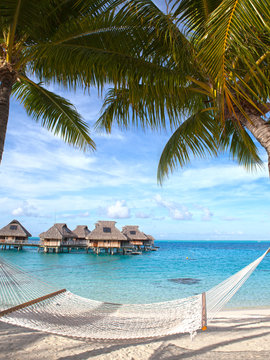 hammock between palm trees by the sea and houses over water on background. Polynesia. Tahiti