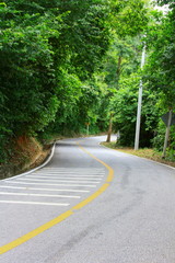 Zigzag Road Way Surrounded with Forest