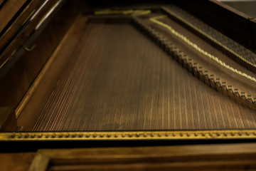 Strings inside an old grand piano.