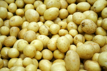 Fresh potatoes in the supermarket for sale