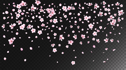 Nice Sakura Blossom Isolated Vector. Realistic Flying 3d Petals Wedding Border. Japanese Funky Flowers Illustration. Valentine, Mother's Day Realistic Nice Sakura Blossom Isolated on Black