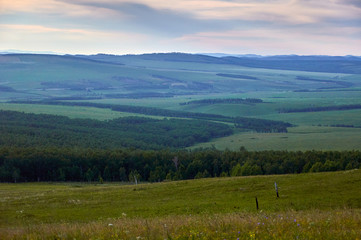 Distant green hills and flowering stapes. Zabaykalsky Krai. Russia.