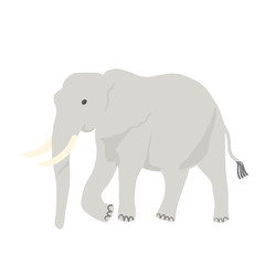 cute hand drawn elephant vector illustration.
