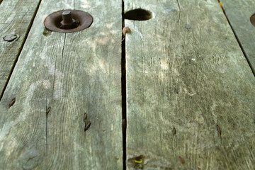 Old wood texture