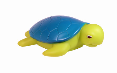 toy turtle isolated on white