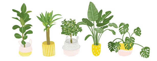 potted plants collection. succulents and house plants. hand drawn vector illustration.
Set of house indoor plant vector cartoon doodle.