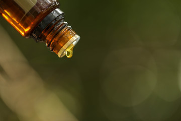 Essential oil bottle close up with drop of oil forming. Bokeh background provides copy space.