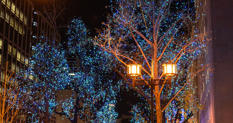 Festival of the Lights in Osaka. The winter illumination events, Midosuji Illumination, Hikari Renaissance. popular tourist attraction, travel destination for vacation. Osaka, Japan