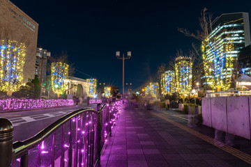 Festival of the Lights in Osaka. The winter illumination events, Midosuji Illumination, Hikari...