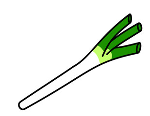長ネギ(色)