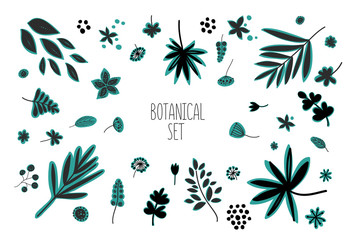 Floral hand drawn vintage set. Vector flowers and leaves collection. Sketch doodle botanical illustration.