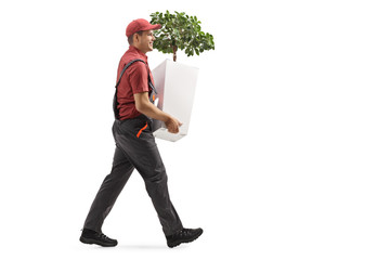 Full length profile shot of a mover walking and carrying a plant