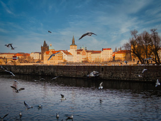 View over Vltava river and Prague historic old town with birds flying away