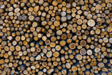 Chopped down tree trunks stacked in a storage yard