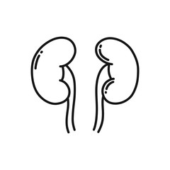 human kidneys doodle icon, vector illustration