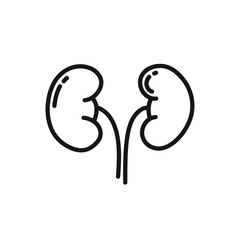 human kidneys doodle icon, vector illustration