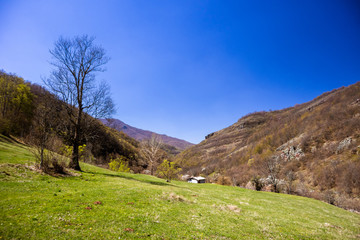 Fototapeta na wymiar Forests and meadows on old mountain (stara planina) in serbia