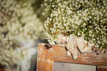 white fluffy flowers, photo frame with a lying angel