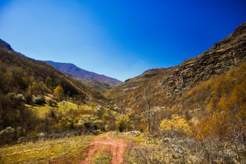 Forests and meadows on old mountain (stara planina) in serbia
