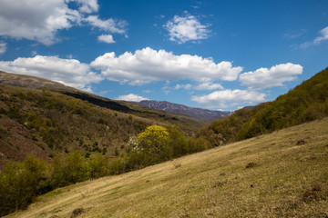 Fototapeta na wymiar Forests and meadows on old mountain (stara planina) in serbia