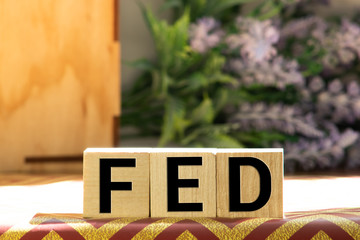 Word FED made with wood building blocks,stock image