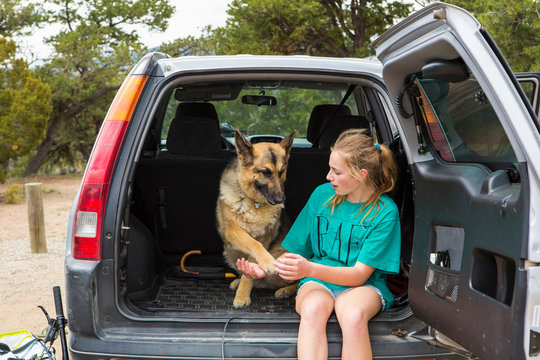 teen girl sitting in back of SUV with her German Shepherd dog