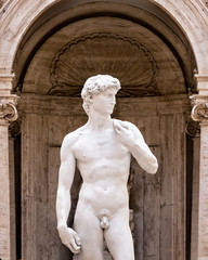Statue of David by Michelangelo.  It’s 17-foot stature and is carved of marble.carved., Rome,...