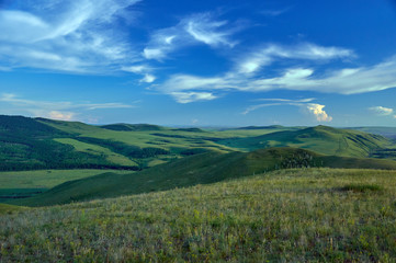 Distant green hills and flowering stapes. Zabaykalsky Krai. Russia.