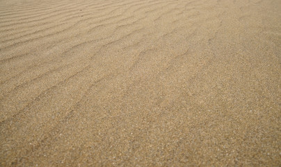 Large empty white sand beach background or backdrop.