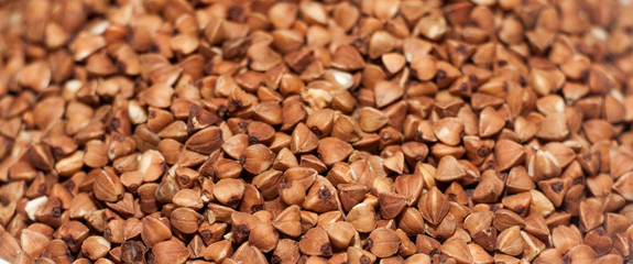 Buckwheat close-up