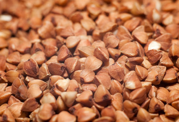 Buckwheat close-up