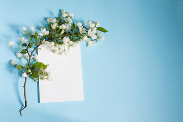 An apple branch is around a white rectangular notebook on a blue background