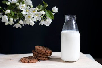 Bottle of milk with oatmeal cookies on a background of a dark blue wall on a white vintage wooden chair.
