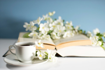 A branch of a blossoming apple tree or cherry on an open book on a background of a blue wall. Concept - online learning.