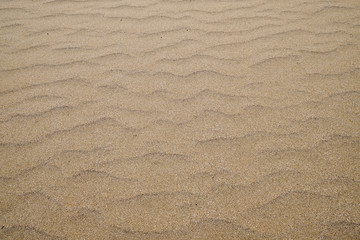 Clean large white sand beach background, empty with space for text.