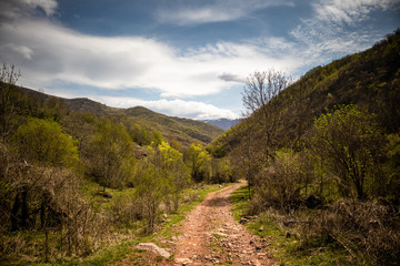 Road through forests and meadows on the old mountain (stara planina) in serbia at early spring