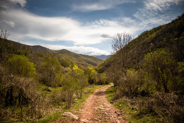 Fototapeta na wymiar Road through forests and meadows on the old mountain (stara planina) in serbia at early spring