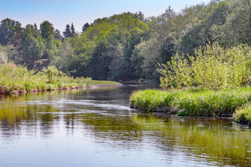 A quiet, small river, with overgrown shrubs and trees, hot May spring noon