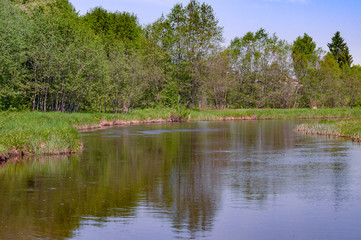 Fototapeta na wymiar A quiet, small river, with overgrown shrubs and trees, hot May spring noon