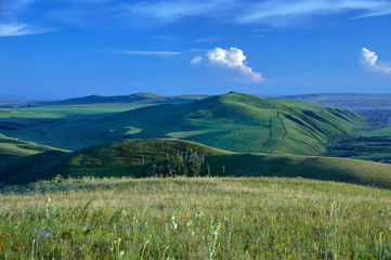 Distant green hills and flowering stapes. Zabaykalsky Krai. Russia.