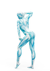 muscle woman doing a gymnastic pose in white background