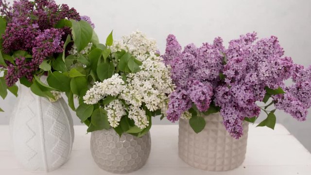 Vases with bouquets of beautiful lilac on table