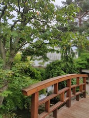 Wooden bridge