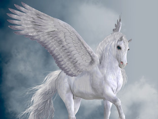 Obraz na płótnie Canvas Marvelous White Pegasus - The Pegasus horse is a magical winged creature who is legendary from Greek mythology.